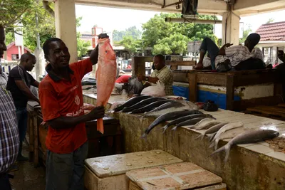 DSC_7578 (Large).JPG